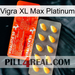 Vigra Xl Max Platinum new01